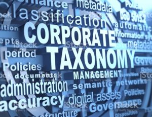 corporate-taxonomy