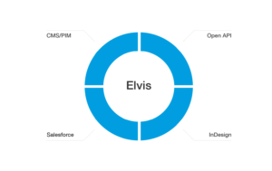 elvis dam architecture