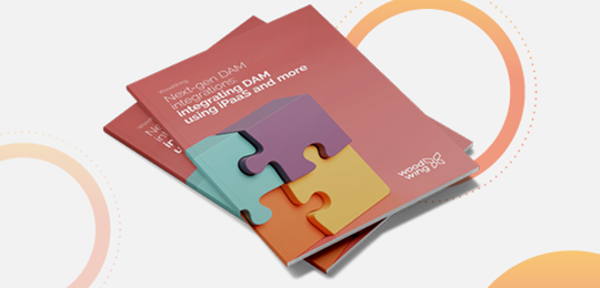 Next-gen DAM integrations: integrating DAM using iPaaS and more